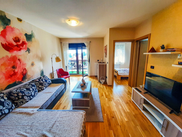 Apartment Rakic