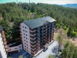 Villa Pekovic Apartments