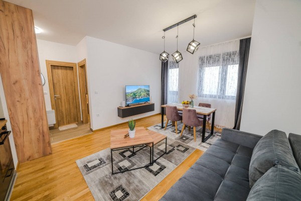 Apartment Gavrilovic 1